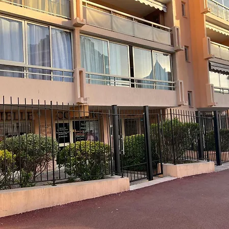 Volt ' Palm Cannes